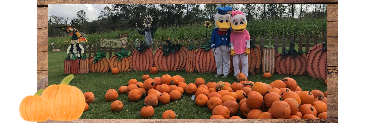 pumpkin patch