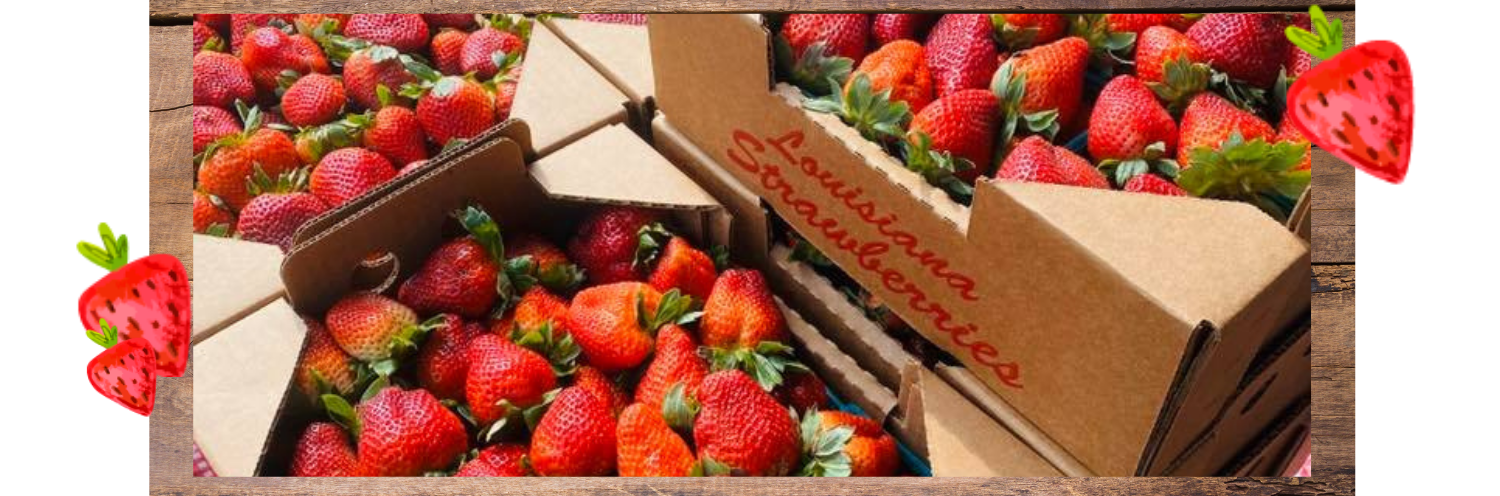 cases of fresh strawberries