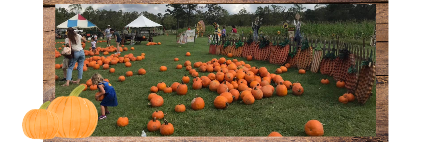 children at pumpkin patch