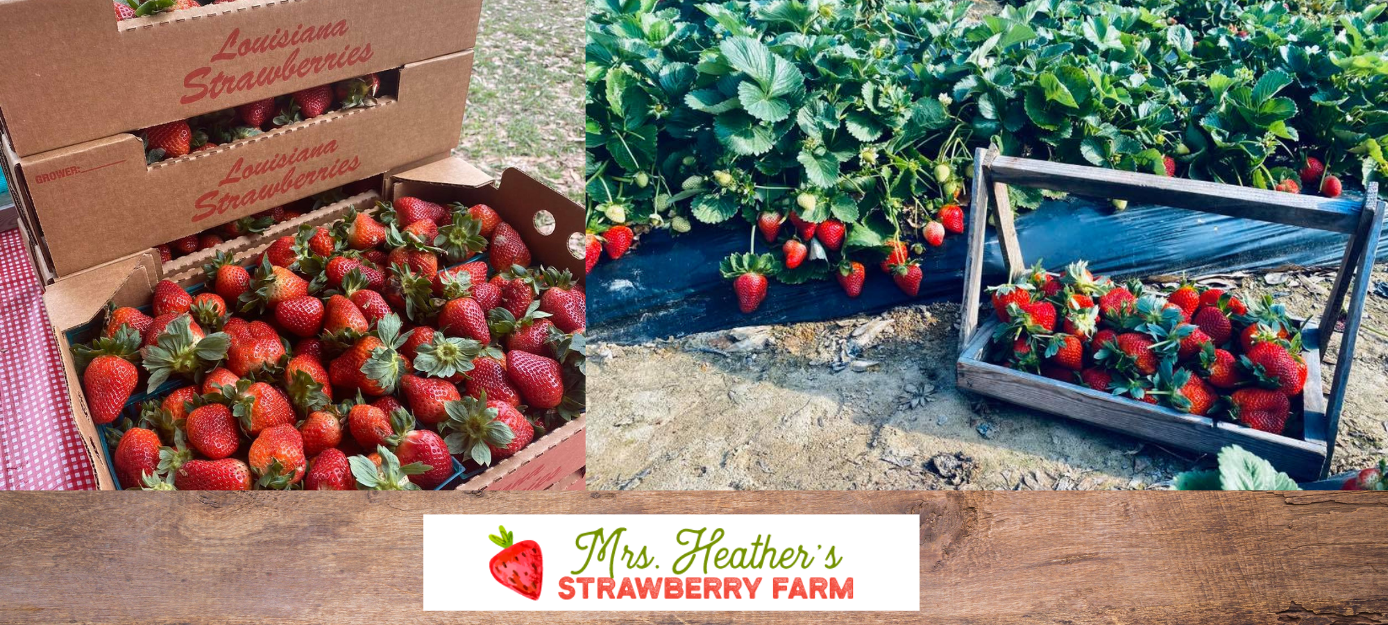 strawberry farm collage
